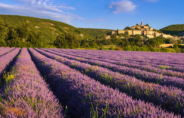 Provence - zwischen Tradition und Moderne Provence - zwischen Tradition und Moderne