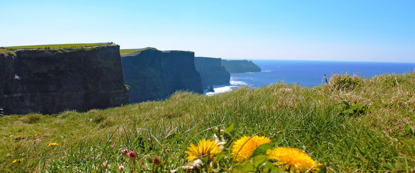 Irland ─ Fáilte grüne Insel