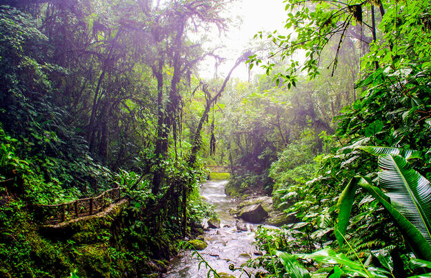 Pura Vida - Naturparadies Costa Rica Pura Vida - Naturparadies Costa Rica