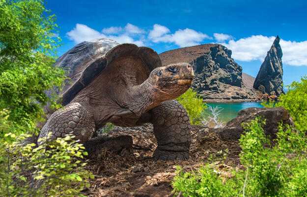 Ecuador und Galápagos zum Kennenlernen Ecuador und Galápagos zum Kennenlernen