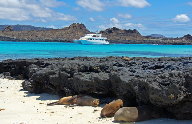 Ecuador und Galápagos-Kreuzfahrt ─ ein Land voller Wunder Ecuador und Galápagos-Kreuzfahrt ─ ein Land voller Wunder