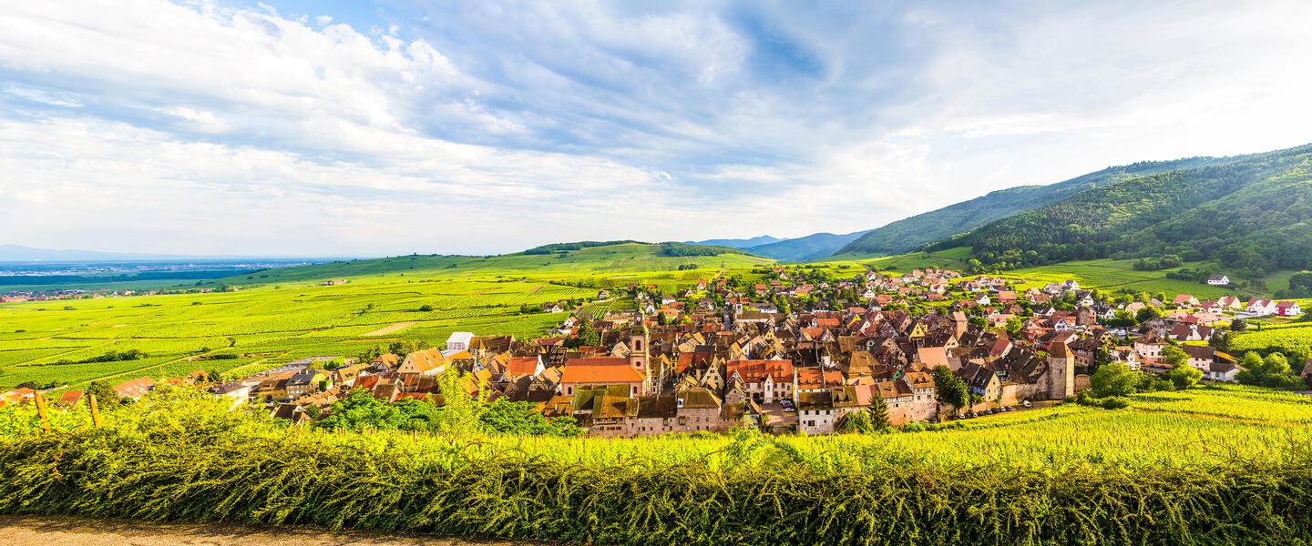 Mit dem E-Bike durch das Elsass