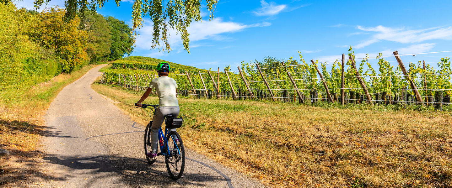 Mit dem E-Bike durch das Elsass