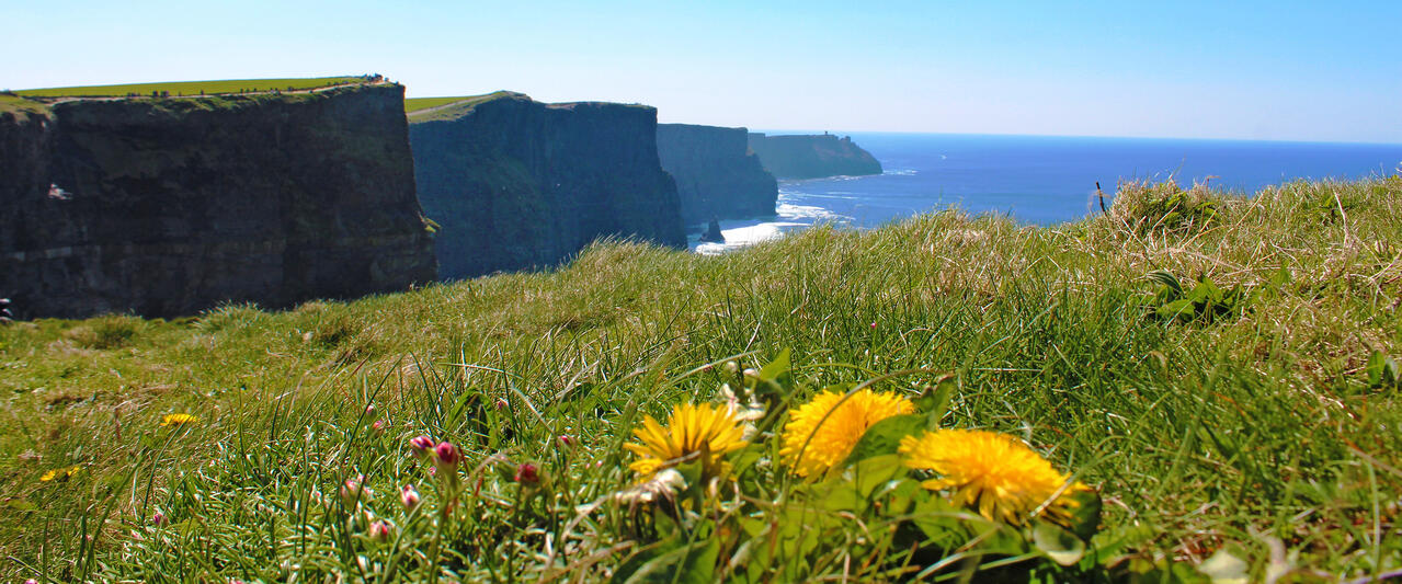 Irland - die ausführliche Reise auf der grünen Insel Irland - die ausführliche Reise auf der grünen Insel