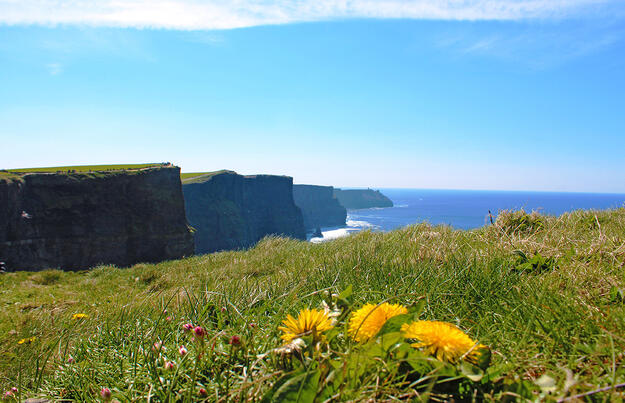 Irland - die ausführliche Reise auf der grünen Insel Irland - die ausführliche Reise auf der grünen Insel