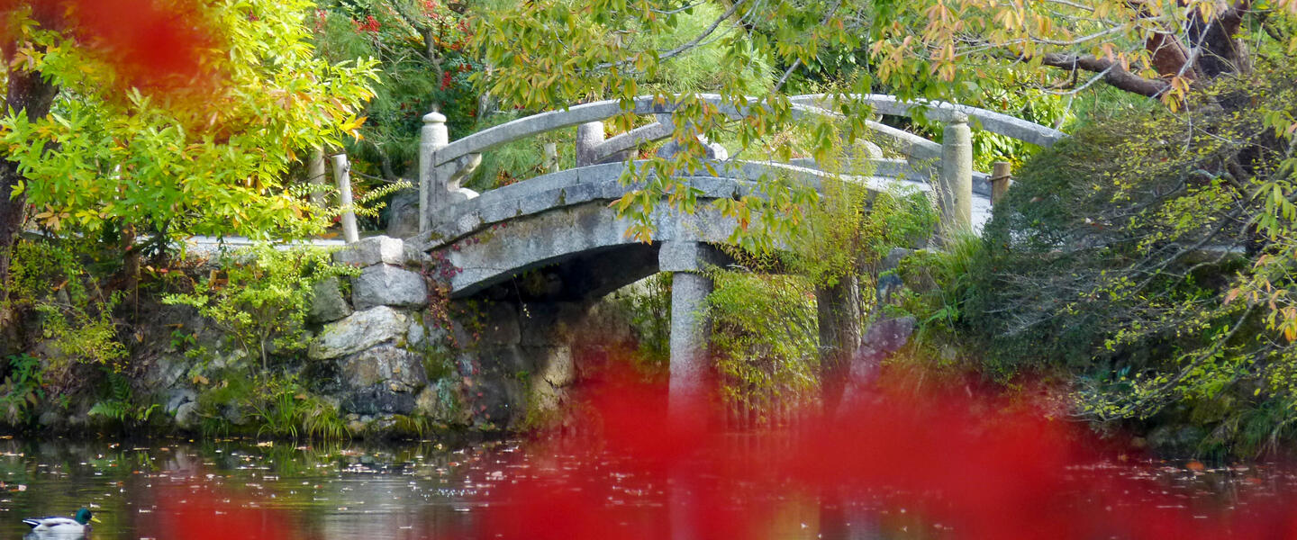 Japan - Sakura, Sushi und Sake