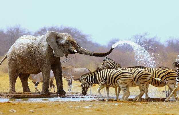 Entdeckungsreise Namibia Entdeckungsreise Namibia