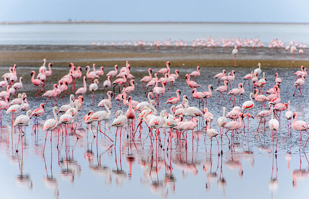 Namibia - Wildnis und Weite Namibia - Wildnis und Weite