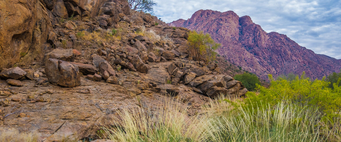 Namibia auf Schritt und Tritt