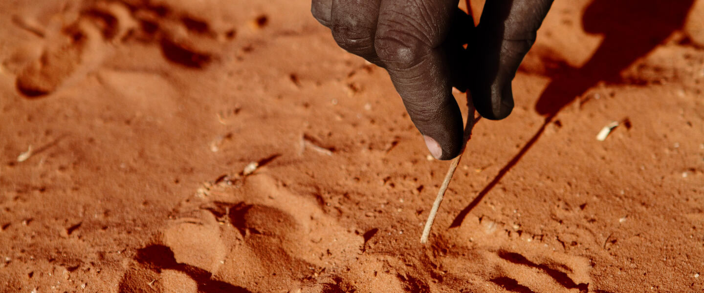 Naturschätze im südlichen Afrika