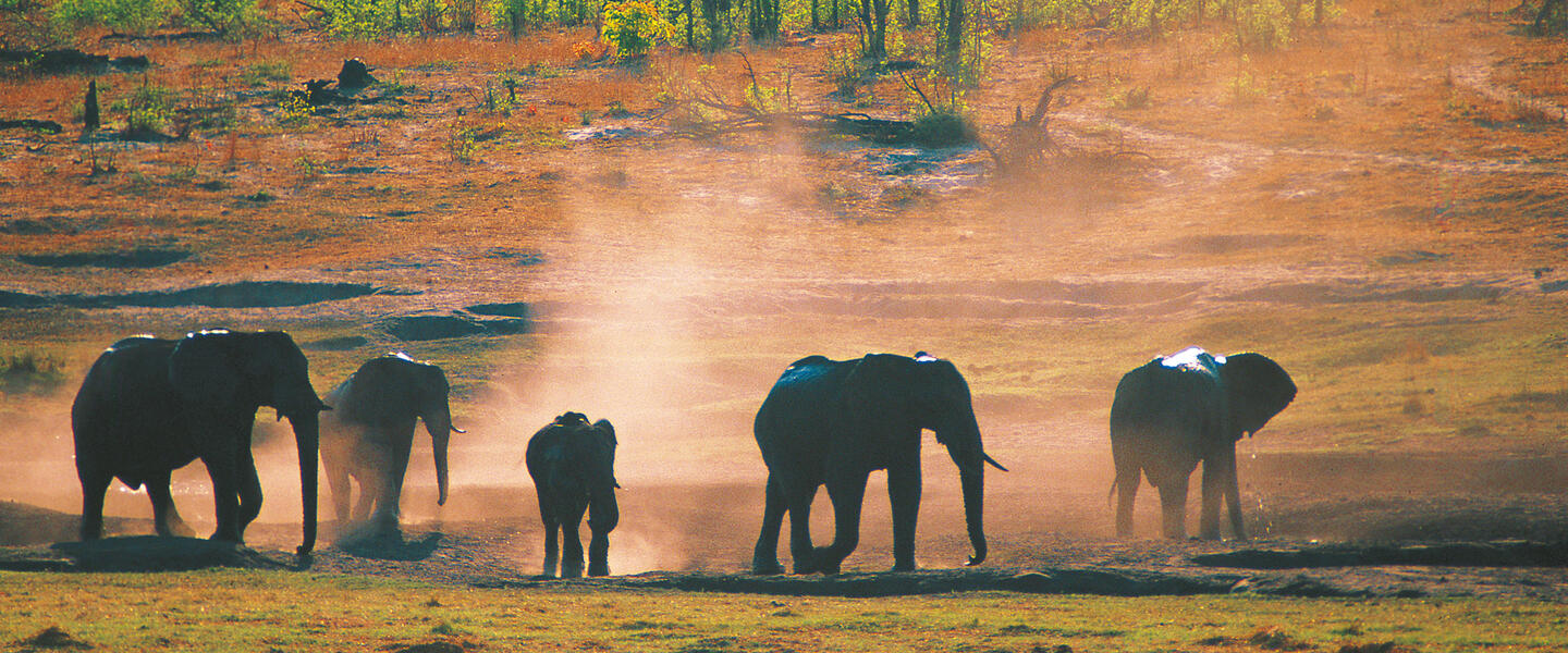 Naturschätze im südlichen Afrika