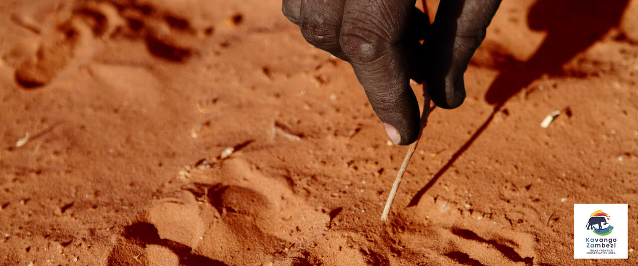 Naturschätze im südlichen Afrika Naturschätze im südlichen Afrika