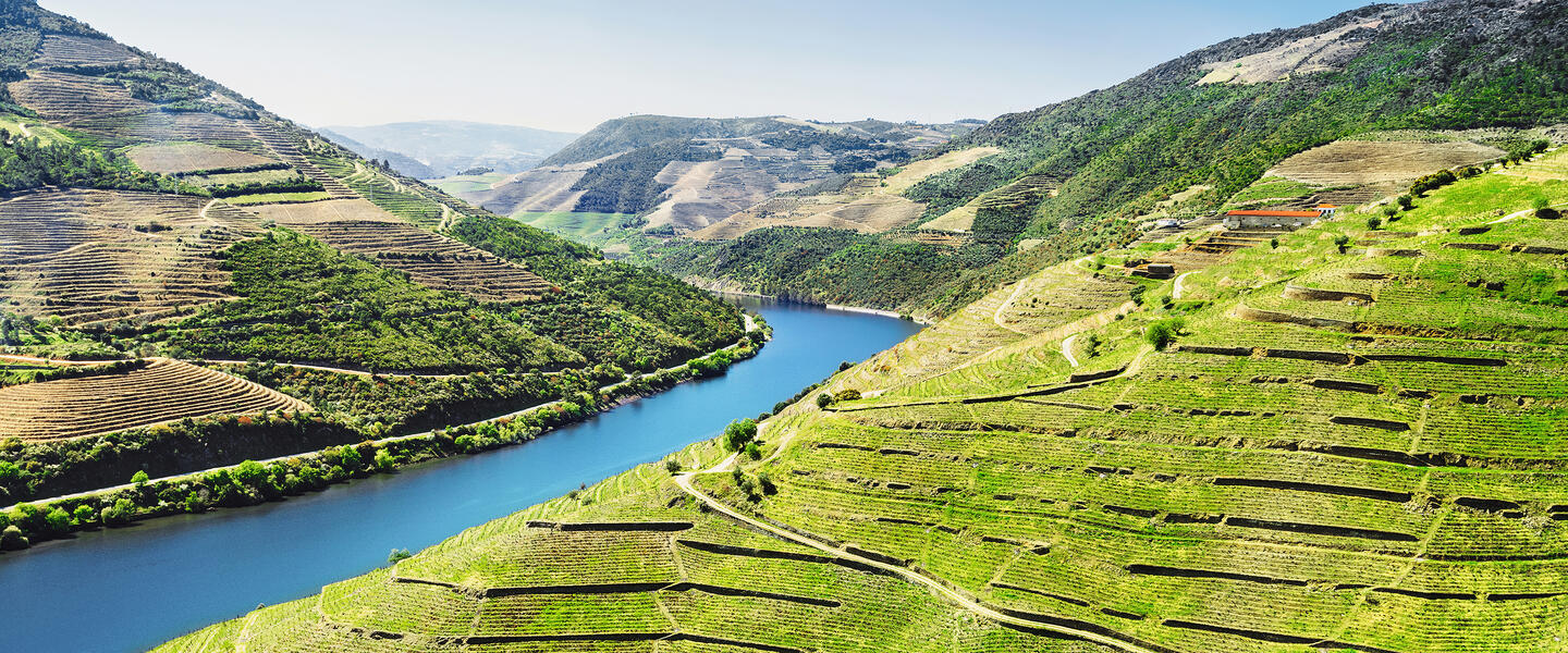 Nordportugal - Bezaubernes Porto und liebliches Douro Tal in der Kleingruppe entdecken