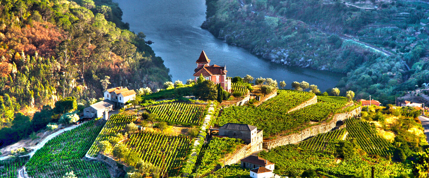 Wein- und Radreise entlang des Douro