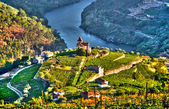 Wein- und Radreise entlang des Douro