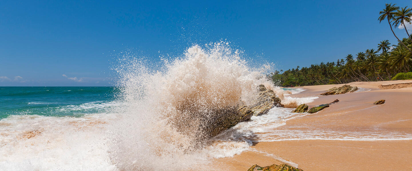 Natürlich Sri Lanka!