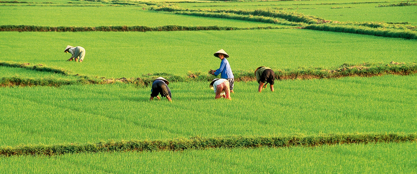 Vietnam auf einen Blick