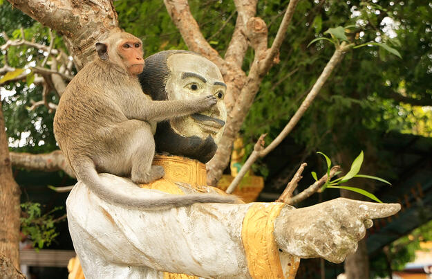 Asiens Herzschlag - überland von Bangkok nach Südvietnam Asiens Herzschlag - überland von Bangkok nach Südvietnam