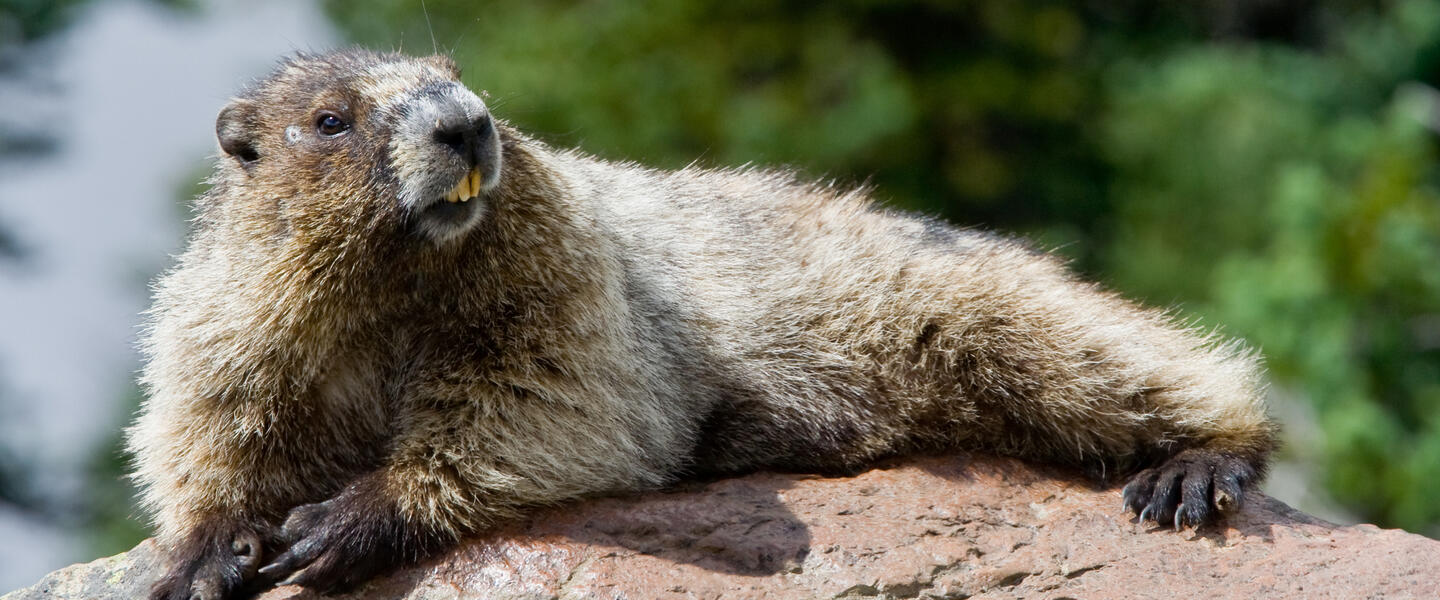 USA & Kanada: Höhepunkte der Ostküste