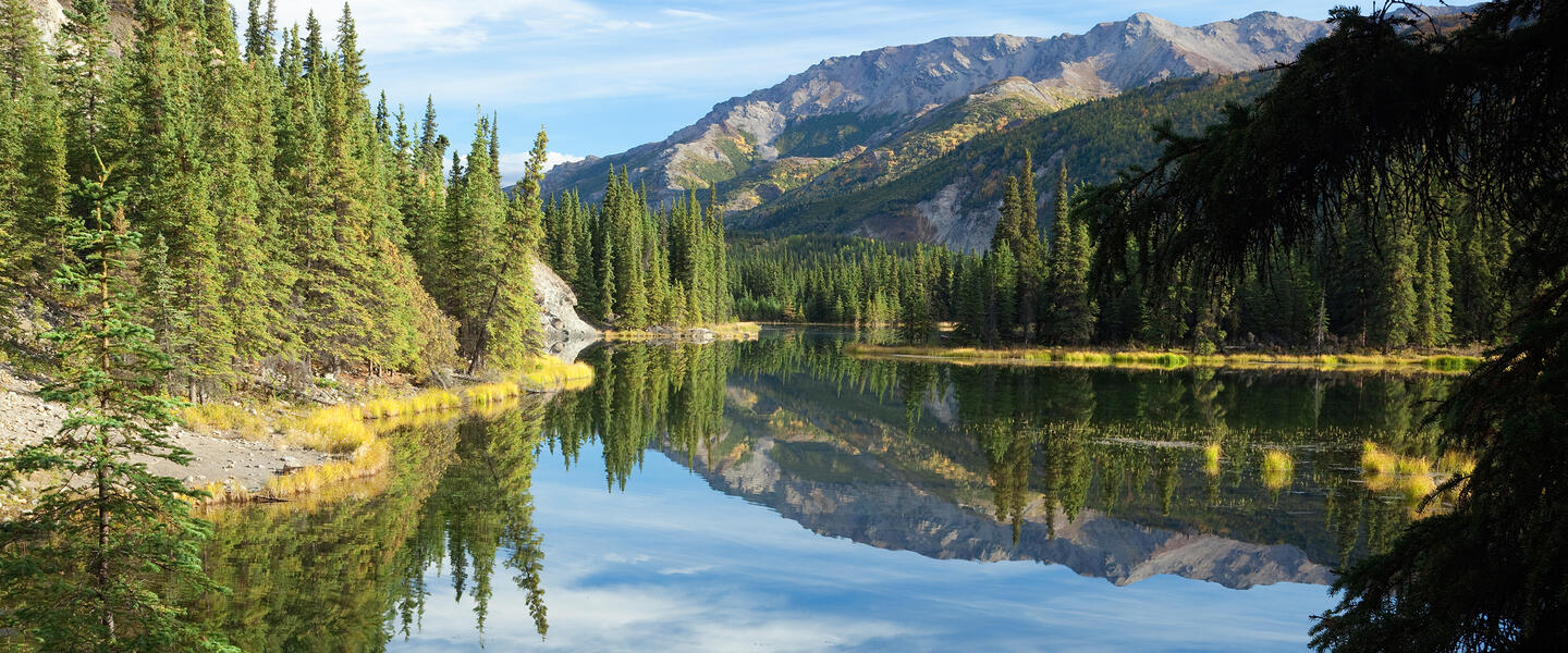 Glanzlichter Alaska & Yukon