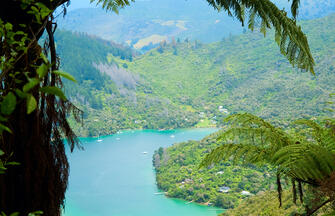 Neuseelandsafari - von Auckland nach Christchurch