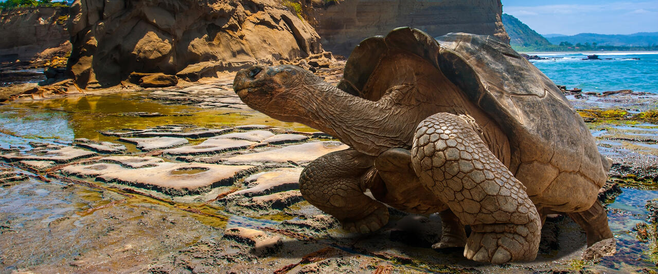 Ecuador und Galápagos zum Kennenlernen privat Ecuador und Galápagos zum Kennenlernen privat