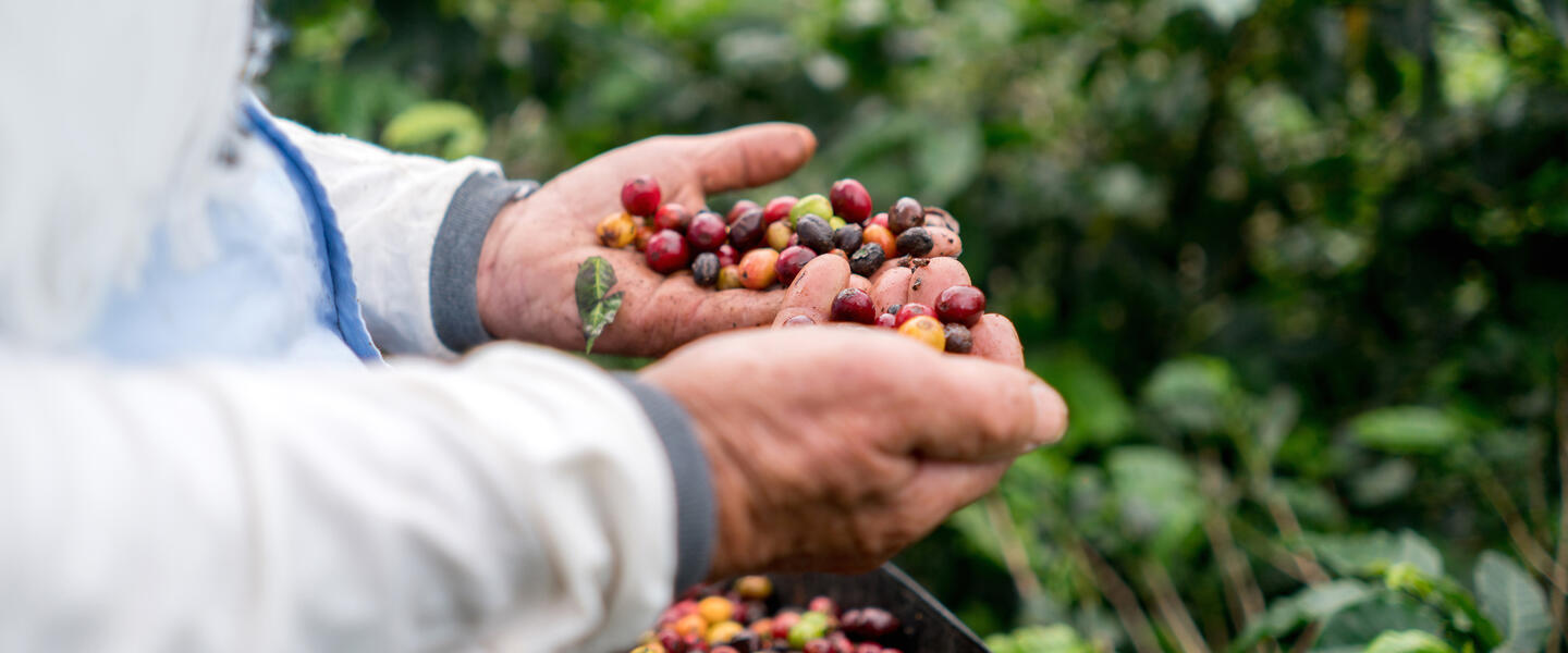 Guatemala - Land des Göttervogels privat