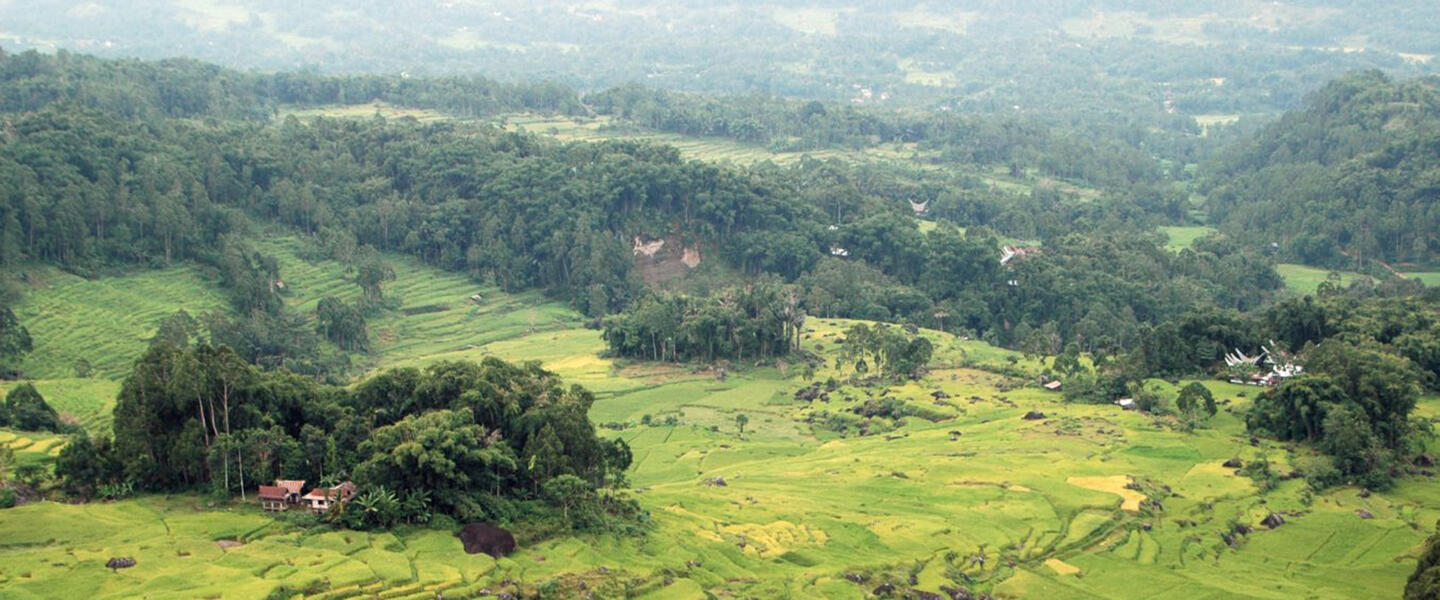 Faszinierendes Sulawesi