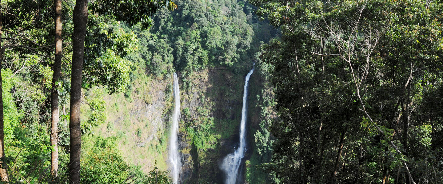 Laos - Tempel, Trekking, Traditionen