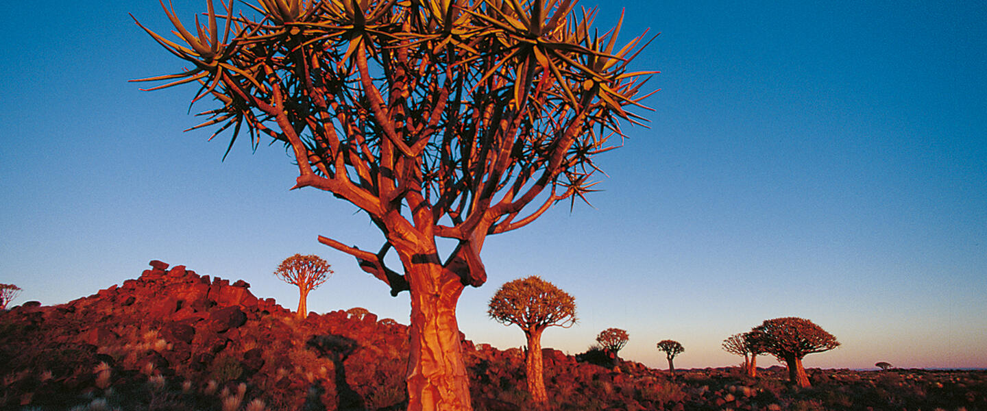 Einzigartiges Namibia