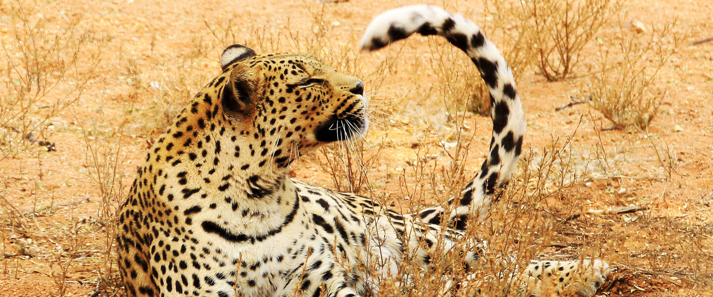 Namibia ─ Naturparadies Caprivi