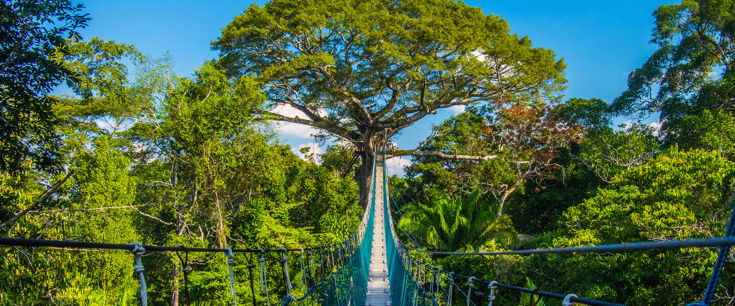 Posada Amazonas ─ Erlebnis Regenwald