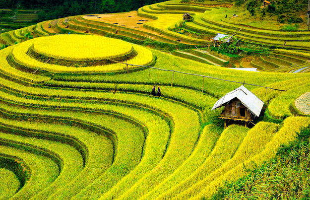 Charmantes Indochina für Genießer Charmantes Indochina für Genießer