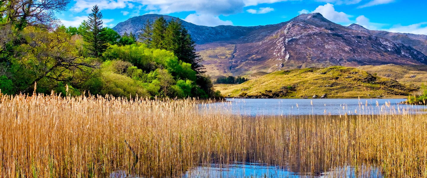 Connemara