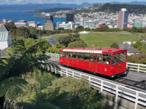 Mount Victoria in Neuseeland | Gebeco