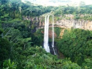 Wasserfall im Jungle auf Mauritius | Gebeco