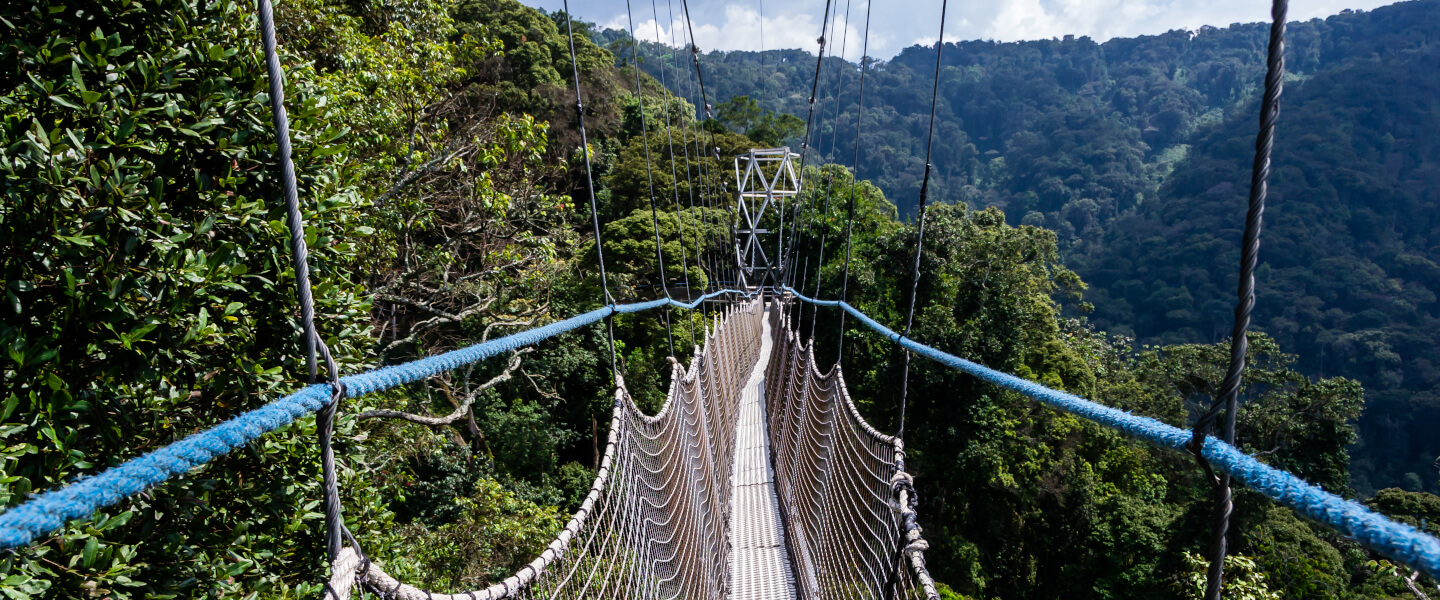 Ländertipps für Ihre Rundreise durch Ruanda