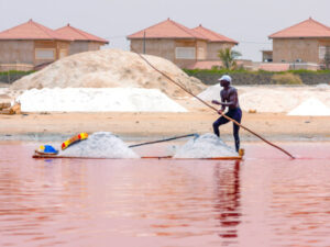 Der Lac Rose in Senegal | Gebeco