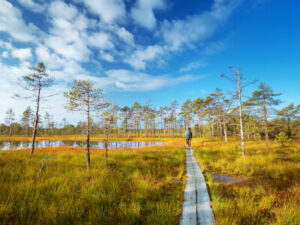 Der Nationalpark Lahemaa in Estland | Gebeco