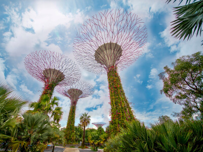 Supertrees im Garden by the Bay in Singapur | Gebeco