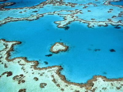 Great Barrier Reef in Australien | Gebeco